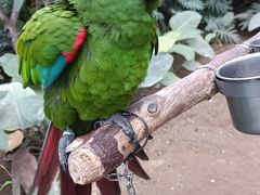 -南宫五洲植物乐园