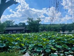 -承德避暑山庄景区