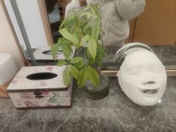 -芳朵美容养生SPA