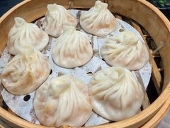 -莱莱小笼·乔艾