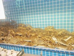 -海天盛宴潮汕蒸汽海鲜高端自助形象店