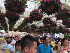 -广州花之恋城堡酒店