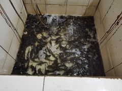 -老船夫石锅苗苗鱼·老字号(三道堰总店)
