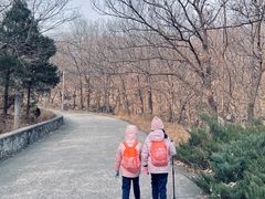 -北京鹫峰国家森林公园