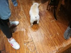 -阿木舂记·特色小吃(平江路店)