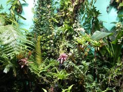 -太平洋海底世界