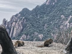 -三清山风景名胜区