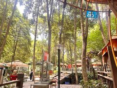 -二荆条·蜀鲜汇城市森林火锅