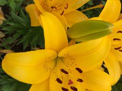 -长春公园(普阳街道)