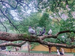 -西园戒幢律寺