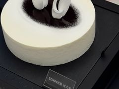 -BLACKSWAN黑天鹅(新希望店)