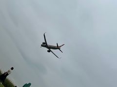 -空港花田景区