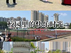 -山东外贸职业学院