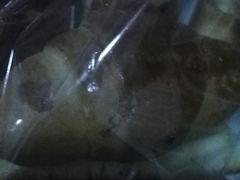 -莲意浓(新华店)