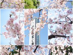 -静安雕塑公园
