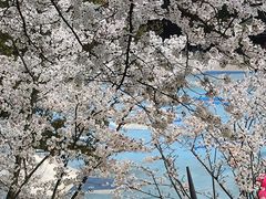 -杭州少年儿童公园