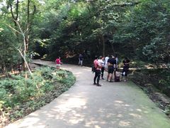 -紫金山索道-售票处