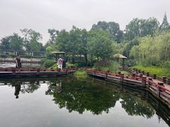 -成飞公园