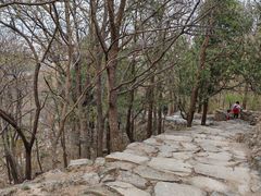 -北京鹫峰国家森林公园