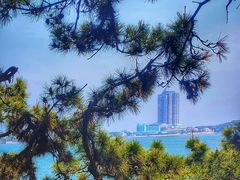 -青岛第一海水浴场