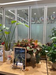 -dōTERRA多特瑞精油生活馆