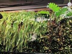 -HOME餐厅粤菜 融合菜