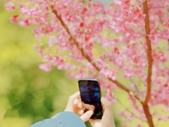 -中国科学院华南植物园