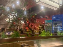 -洞庭家宴·头牌甲鱼(广渠门店)