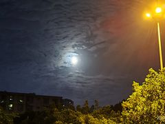 -蜜雪冰城(建设路店)