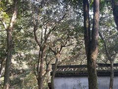 -富春桃源风景区