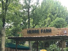 -HERRE·FARM 赫尔露营农场·团建聚会包场