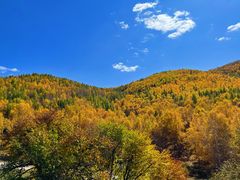 -塞罕坝国家级自然保护区