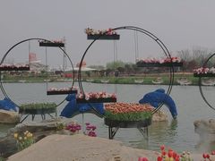 -荷兰花海