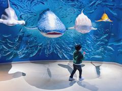 -烟台海昌鲸鲨海洋公园