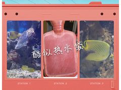 -多彩贵州城极地海洋世界