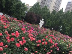 -七里庄(地铁站)