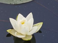 -莫愁湖公园