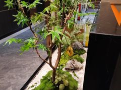 -刘胖子家常菜·蹄花焖藕(中南店)