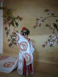 -完美新娘婚纱摄影