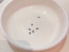 -星洲小聚·东南亚菜(中航城君尚店)
