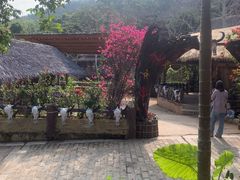 -海南槟榔谷黎苗文化旅游区