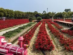 -广东花都香草世界旅游度假区
