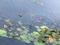 -东方绿舟景区