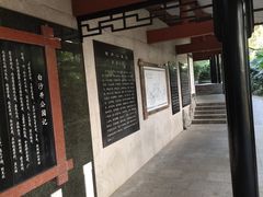 -白沙古井
