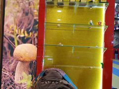 -HELLO功夫(印象城店)