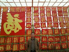 -天适樱花悠乐园