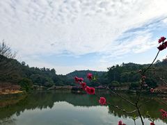 -南国桃园旅游度假区