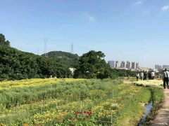 -乐享养生(东湖店)