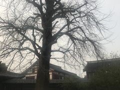 -常熟方塔园