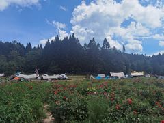 -武陵山森林公园